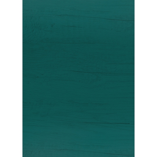Teacher Created Resources Hunter Green Bulletin Board Rolls, 4ct.